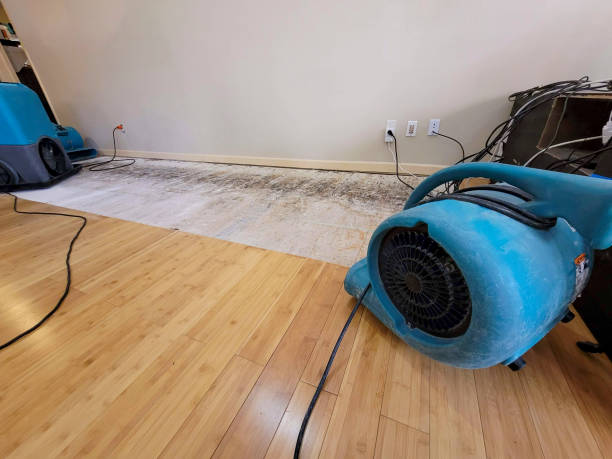 Professional Sewage Cleanup technician working in Matagorda, TX
